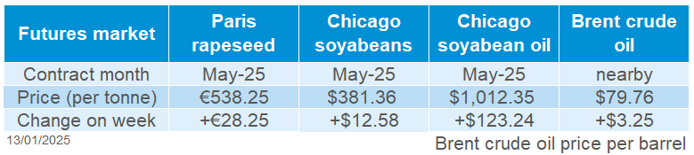 Global Oilseeds 13 01 2025